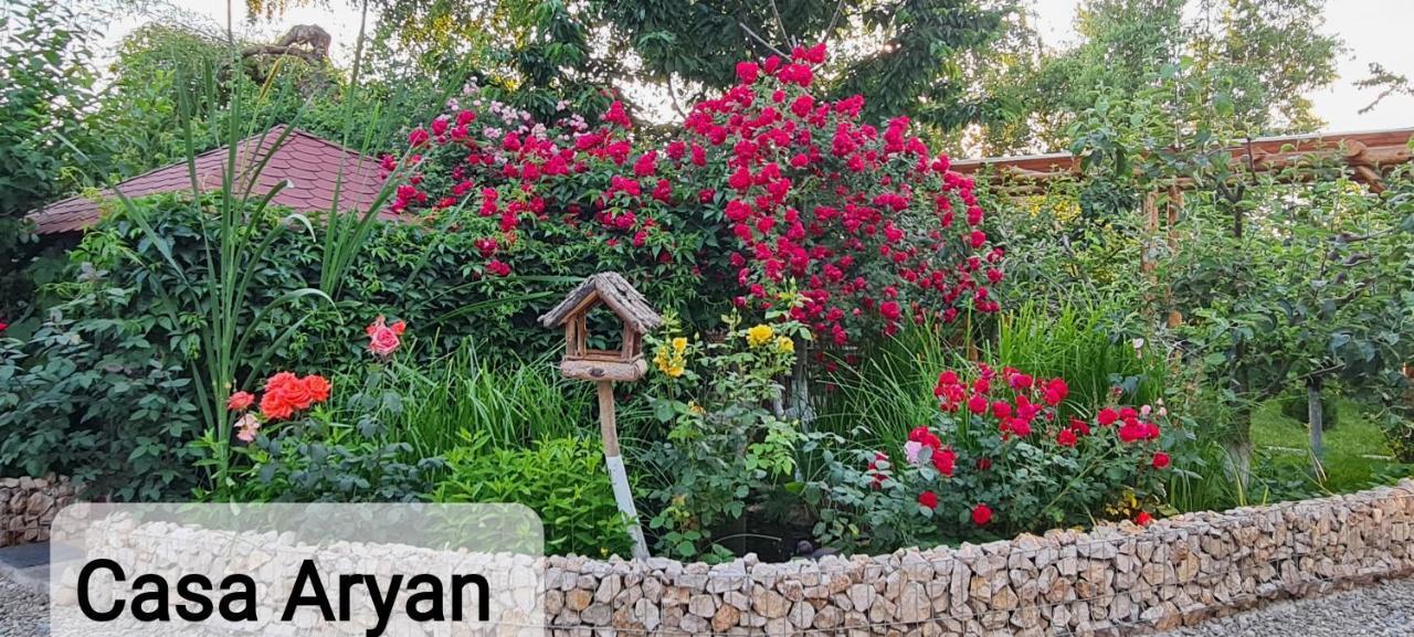דירות Sînpetru Casa Aryan מראה חיצוני תמונה