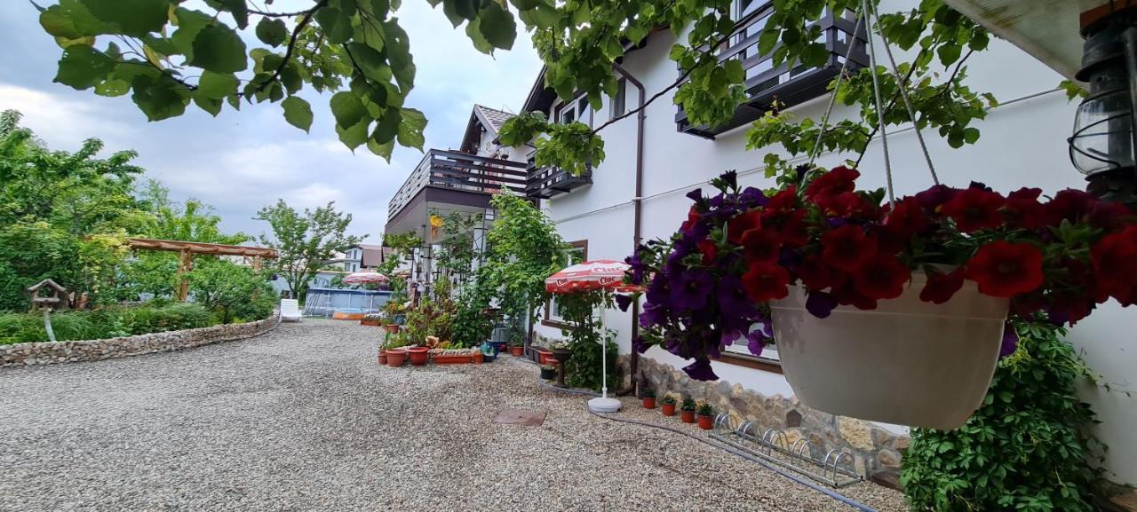 דירות Sînpetru Casa Aryan מראה חיצוני תמונה